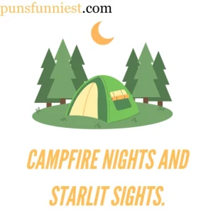 Camping Puns