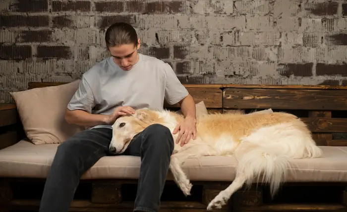 7 Key Steps to Finding the Right Pet for Someone With PTSD Screenshot_47