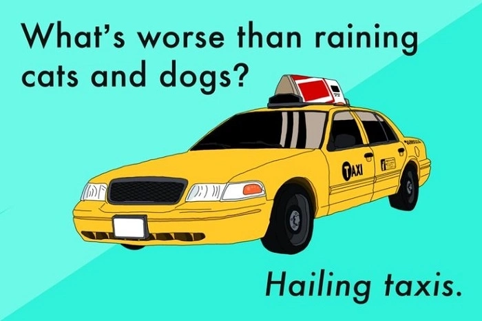car puns (3)