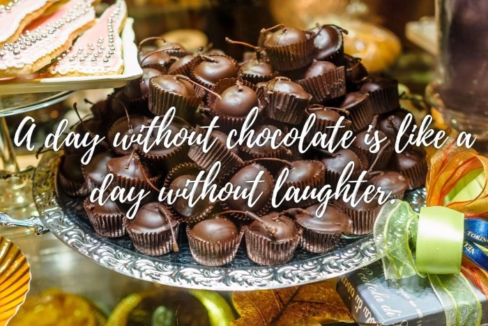 Best Chocolate Puns for Instagram Captions