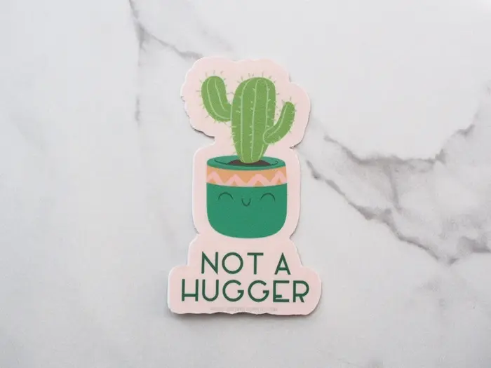 Cactus Puns for Instagram