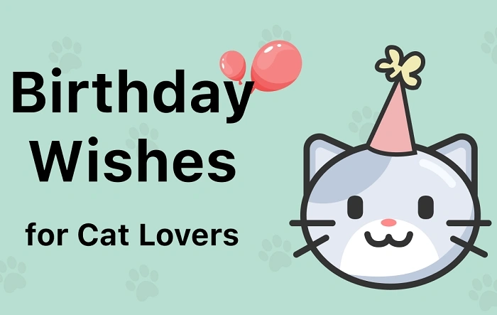 150+ Hilarious Cat Birthday Puns That Are Purr-fect for Celebration cat birthday puns (1)