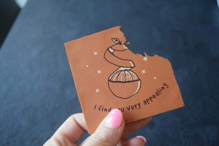 Deliciously Funny Chocolate Puns