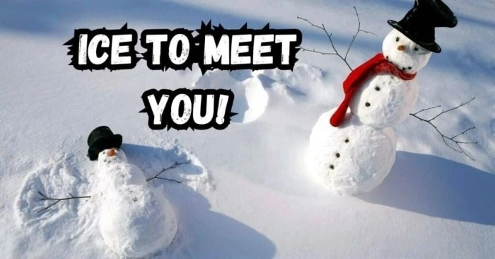 Frosty and Fun Snow Puns