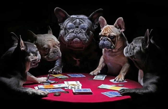 Fun Facts About Gambling Puns (1)