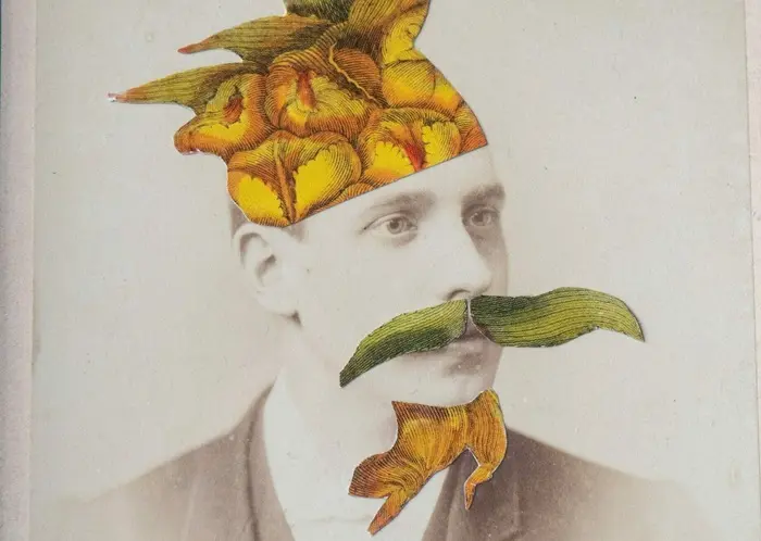 Fun Facts About Visual Puns