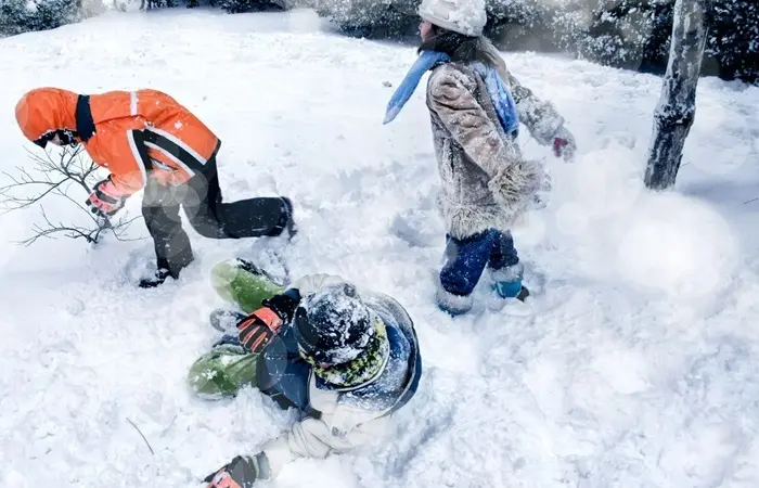 Fun Facts About Winter Puns