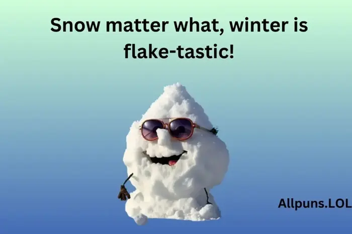Funny Winter Puns