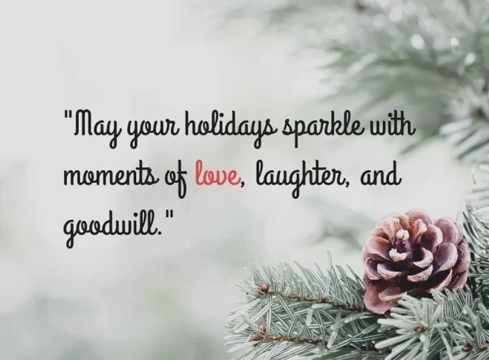 One-Liners That Will Make Your Holidays Even Brighter (1)