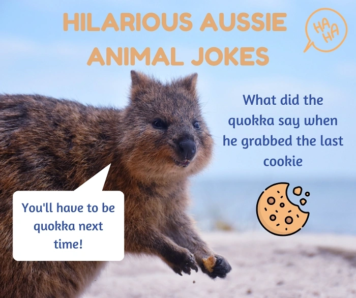Funny Australian Jokes That Are Beaut
