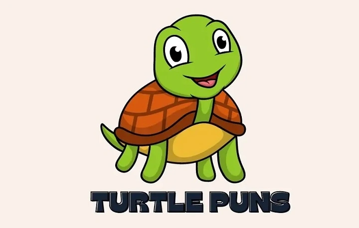 Turtle Puns That Are Totally Shell-tastic