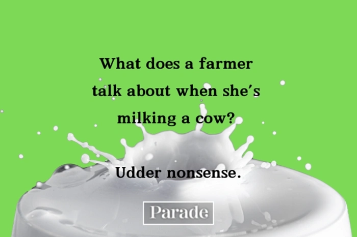 Best Cow Name Puns for Your New Bovine Friend