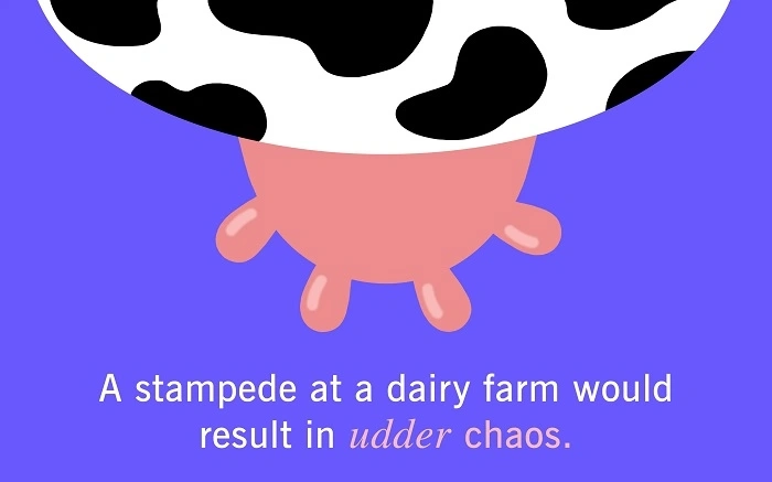 Cow Name Puns for a Group of Cows (1)