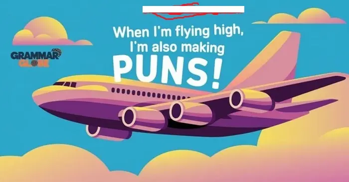 Flight Punsffd