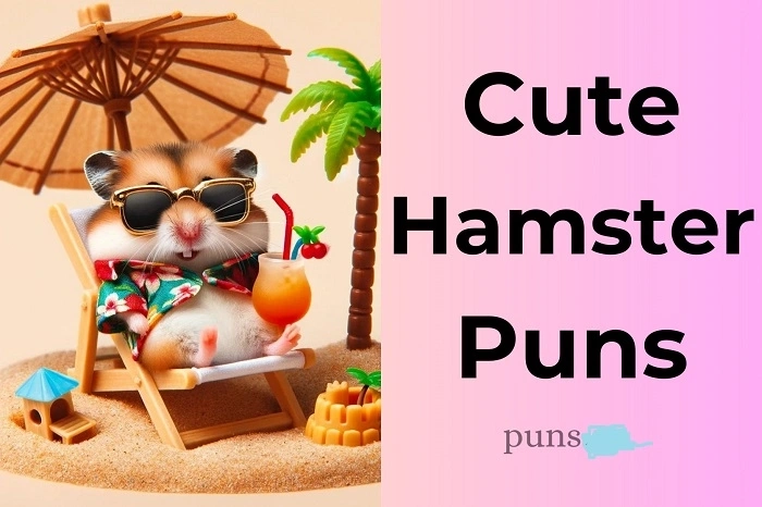 hamster punsdxfgdg