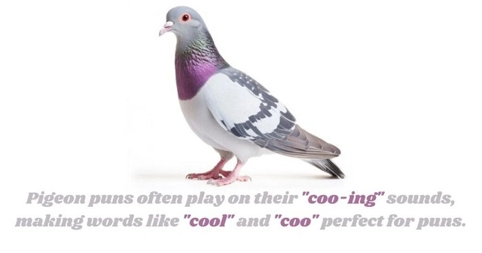 How to Incorporate Pigeon Puns in Conversations