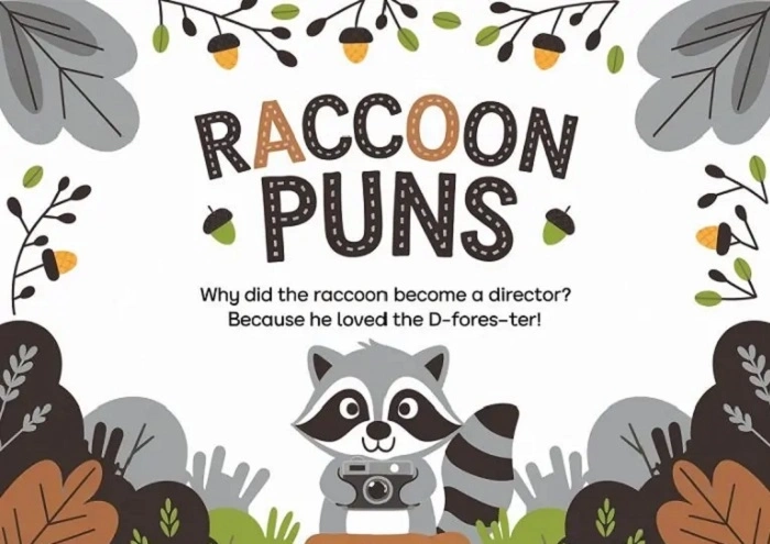 How to Use Raccoon Puns in Conversation