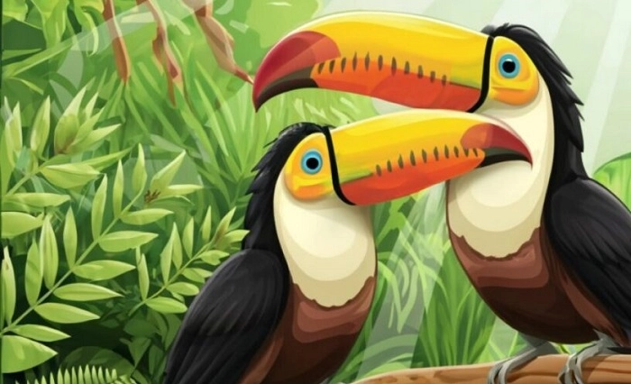 How to Use Toucan Puns in Your Daily Life