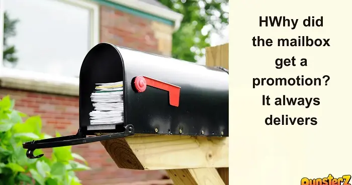 Mail Puns for Every Occasiondertt