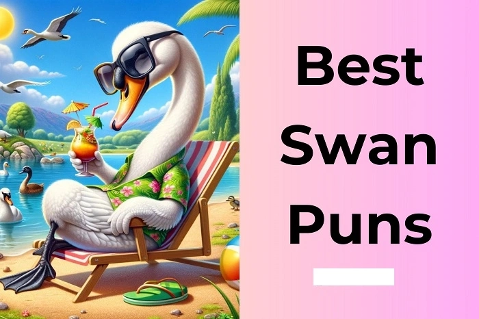 swan punsdg