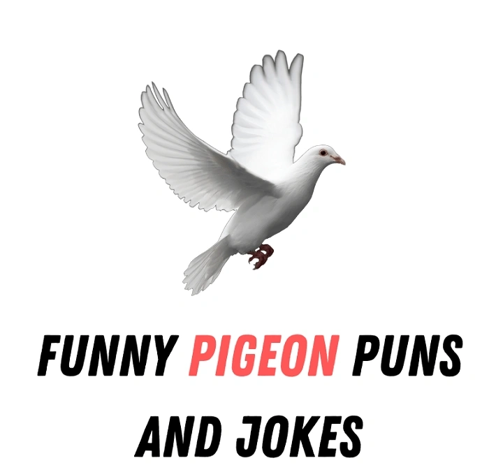 What Are Pigeon Puns