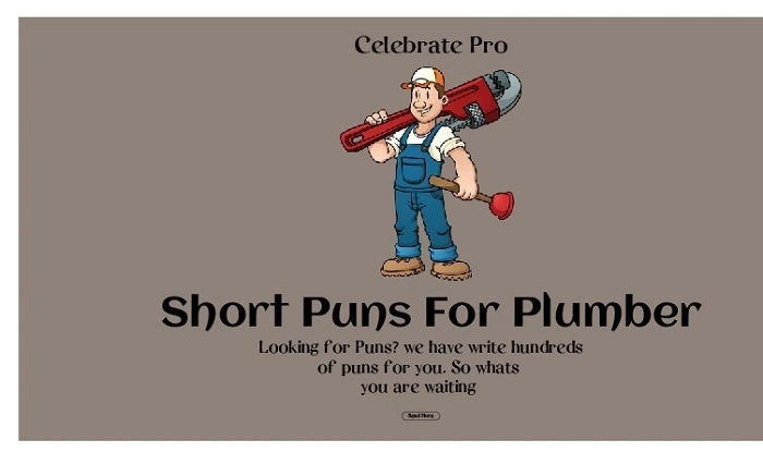 What Are Plumbing Puns