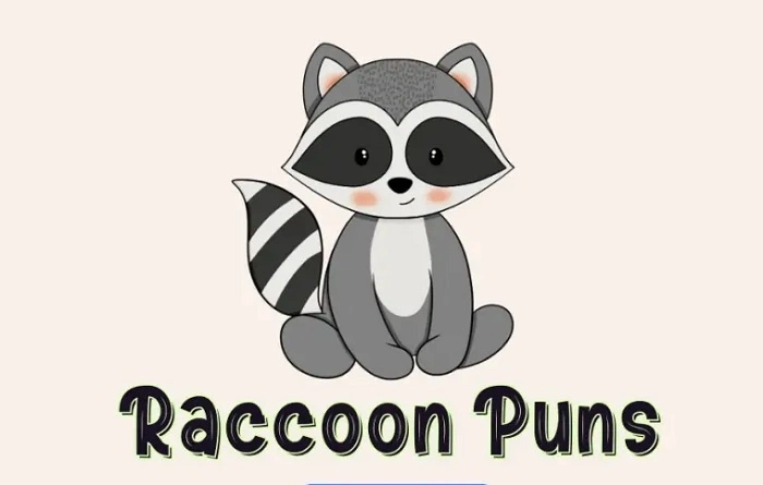 Why Are Raccoon Puns So Popular