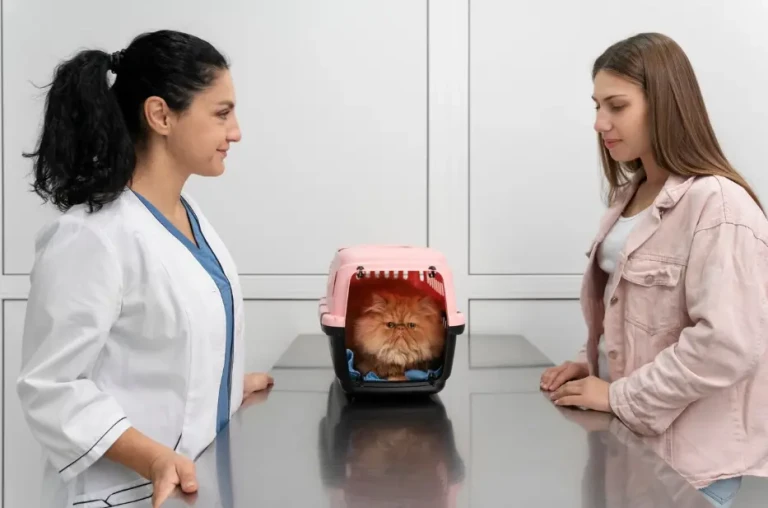 What Counts as a Pet Emergency and What Doesn’t Screenshot_146