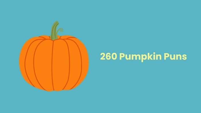 Cute Pumpkin Puns for Everyday Fun