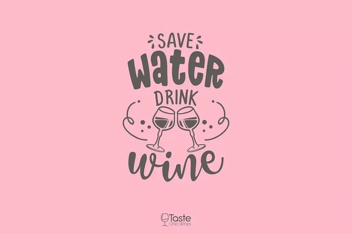 Funny Wine Puns for Instagram Captions (1)