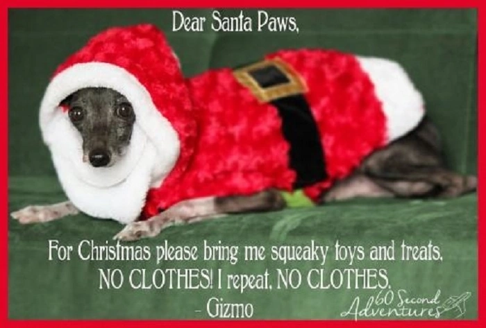 Fast Christmas Dog One-Liners