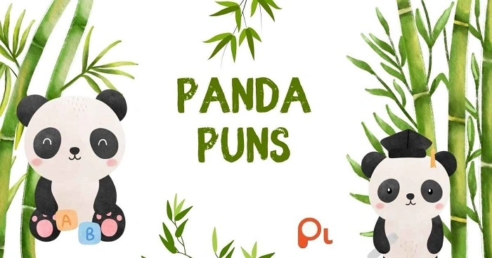 Food-Themed Panda Puns