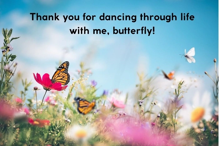 Oldie-But-Goldie Butterfly Puns