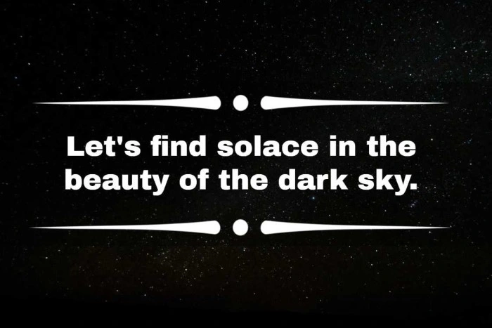 One-Liner Puns for Instagram Captions