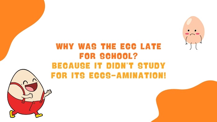 School and Study Puns Jokes