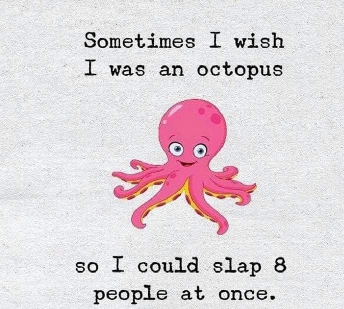 Silly and Cheesy Octopus Puns