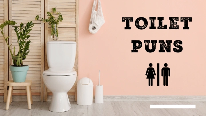 Bathroom Puns That Clean Away the Blues Bathroom Puns