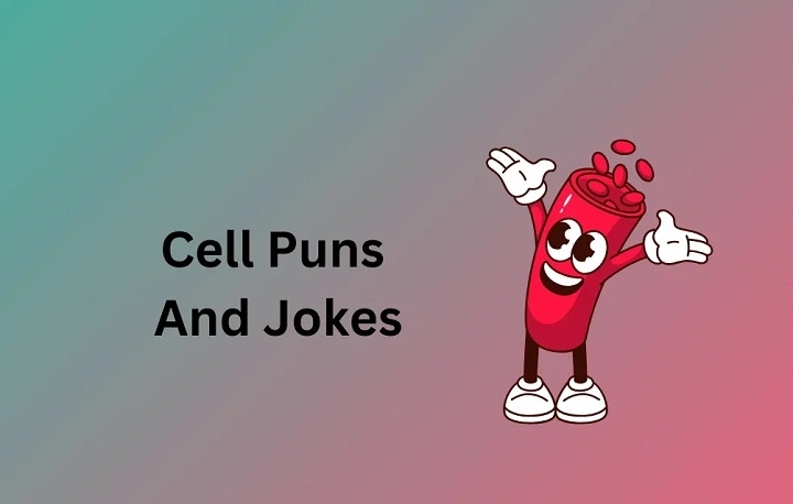 Cell Puns That Double the Smiles and Half the Blues cell puns