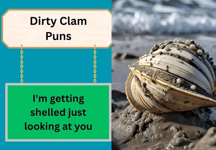 Daily Clam Puns