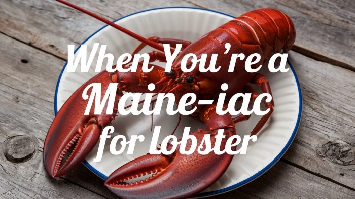 Daily Maine Puns