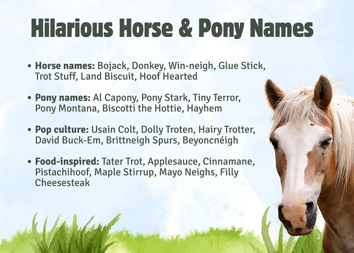 Classy But Cringe-Making Horse Names. (1)