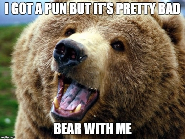 Funny Bear Puns