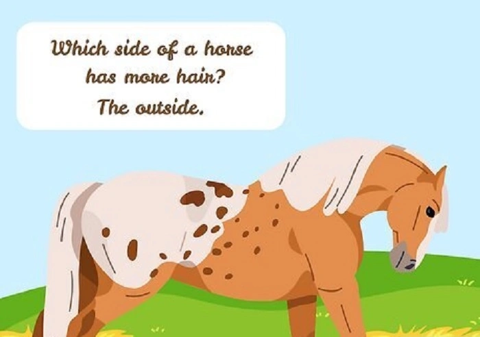 horse name puns (2)
