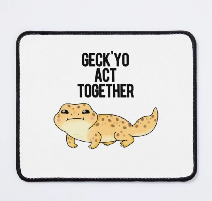 Silly and Cheesy Gecko Puns