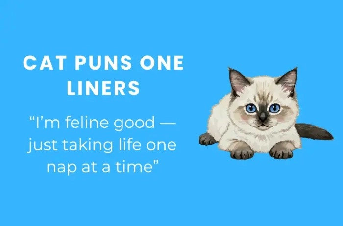 Daily Cute Cat Puns