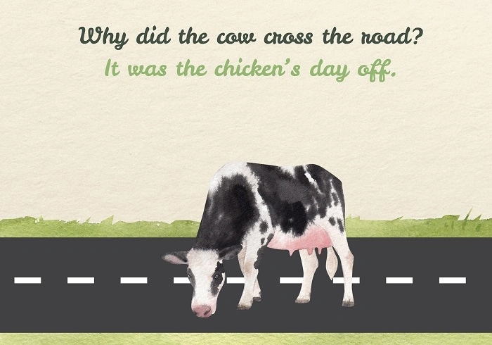 Daily Cow Puns One-Liners (1)