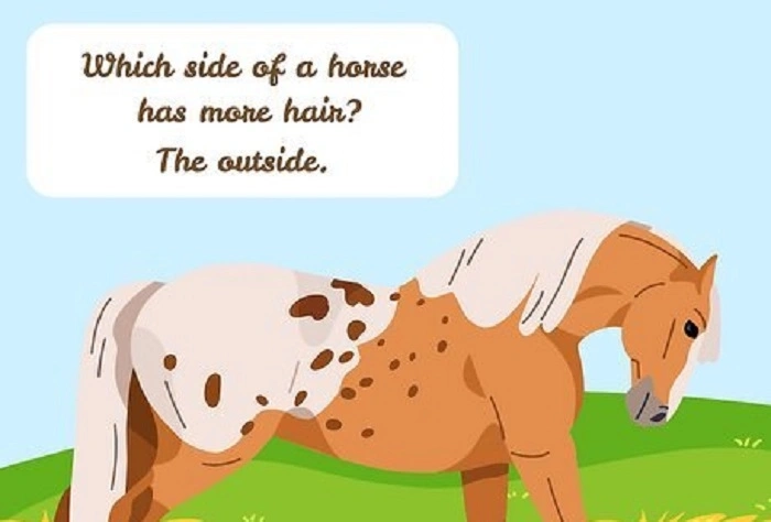 Daily Horse Puns (1)
