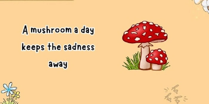 Funny Mushroom Puns