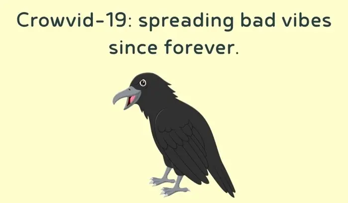 Why Raven Puns Are So Popular