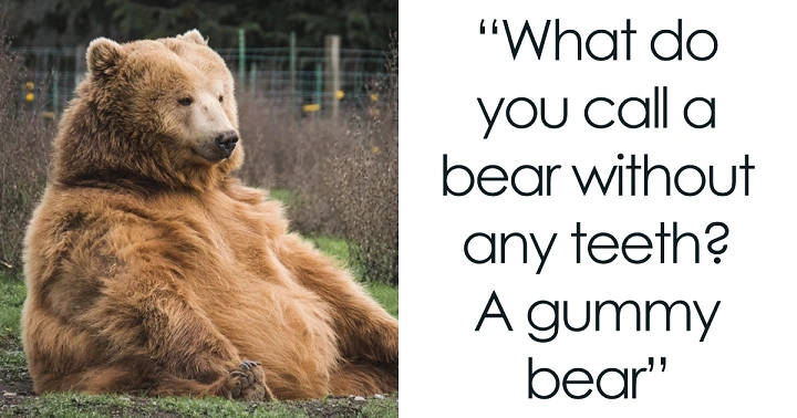 Bear Puns One-Liners: Un-bear-ably Funny Wordplay bear puns one liners